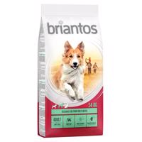 Briantos, 12 / 14 kg  - 10 % zľava - Adult jahňacie s ryžou (14 kg)