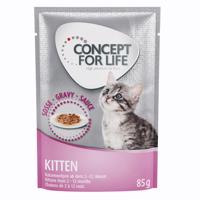 Concept for Life Kitten - vylepšená receptúra! - nový doplnok: 12 x 85 g Concept for Life Kitten v omáčke