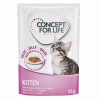Concept for Life Kitten - vylepšená receptúra! - nový doplnok: 12 x 85 g Concept for Life Kitten v želé