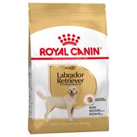 Dvojbalenie Royal Canin 2 x veľké balenie - Labrador Retriever Adult (2 x 12 kg)
