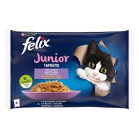 Felix Junior Fantastic kapsičky 4 x 85 g - losos a kuracie