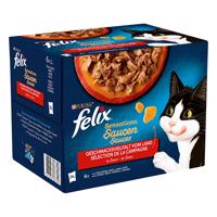 Felix kapsičky 48 x 85 g - 20 % ZĽAVA - "Sensations" morčacie, hovädzie, jahňacie, kačacie