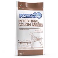 Forza 10 Active Line Intestinal Colon Phase 2 - výhodné balenie: 2 x 4 kg