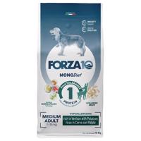 Forza 10 Medium Diet so zverinou a zemiakmi - výhodné balenie: 2 x 12 kg
