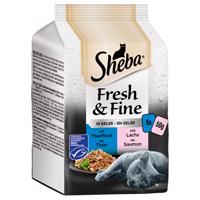 Sheba Fresh & Fine