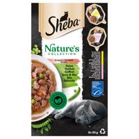 Výhodné balenie Sheba Nature's Collection v omáčke 64 x 85 g - šťavnatý výber